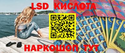 СК Донской