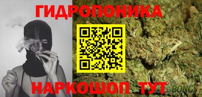 СК Донской