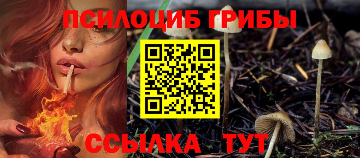Псилоцибиновые грибы Psilocybine cubensis  Вход с VPN  Люберцы 